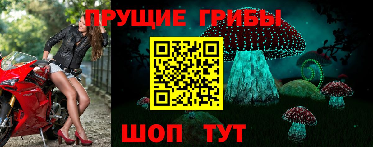 Галлюциногенные грибы GOLDEN TEACHER Жигулёвск