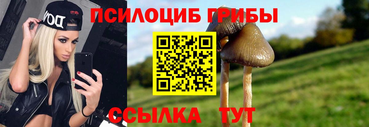 Галлюциногенные грибы ЛСД  Псилоцибиновые грибы Psilocybine cubensis  Вход с VPN  Жигулёвск 